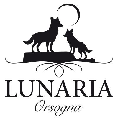 0034720_lunaria